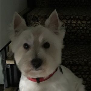 Meet your Posher, Teri